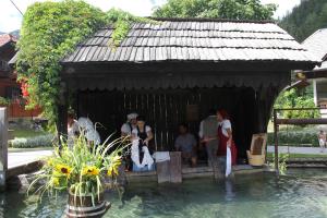 Perice  so prale 'po starem ' na vaškem perišču